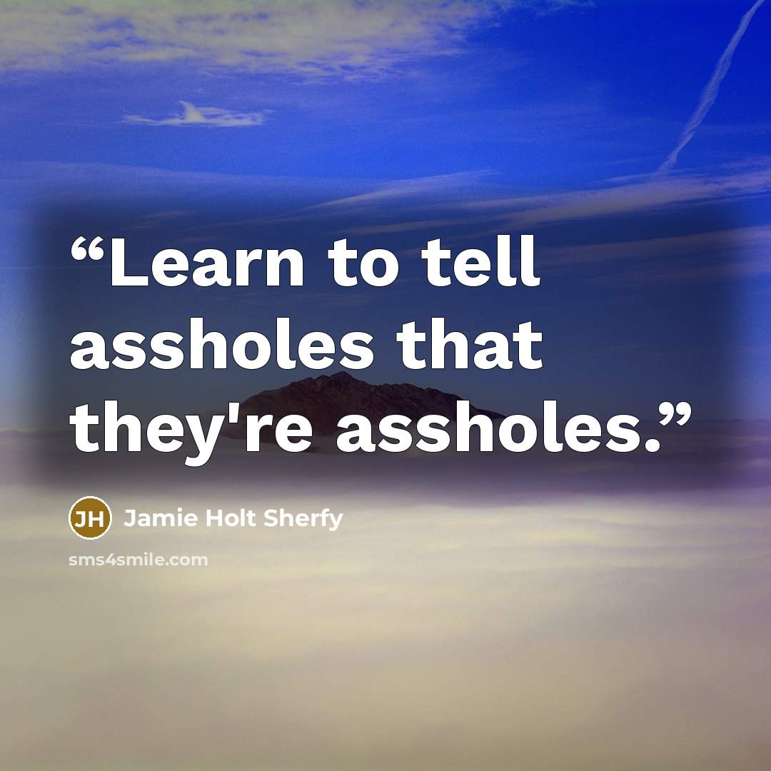 “Learn to tell assholes that they're assholes.” quote by Jamie Holt Sherfy