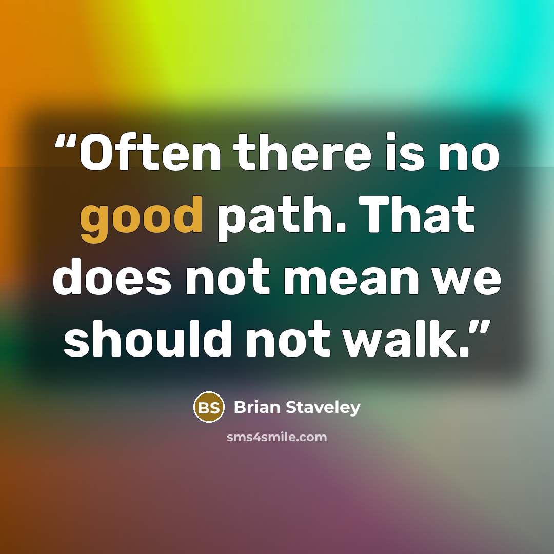 “Often there is no good path. That does not mean we should not walk.” quote by Brian Staveley