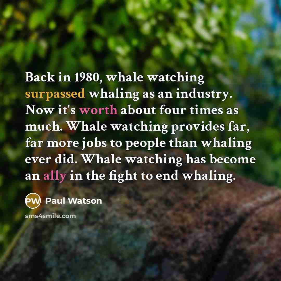 “Back in 1980, whale watching surpassed whaling as an industry. Now it's worth about four times as much. Whale watching provides far, far more jobs to people than whaling ever did. Whale watching has become an ally in the fight to end whaling.” quote by Paul Watson