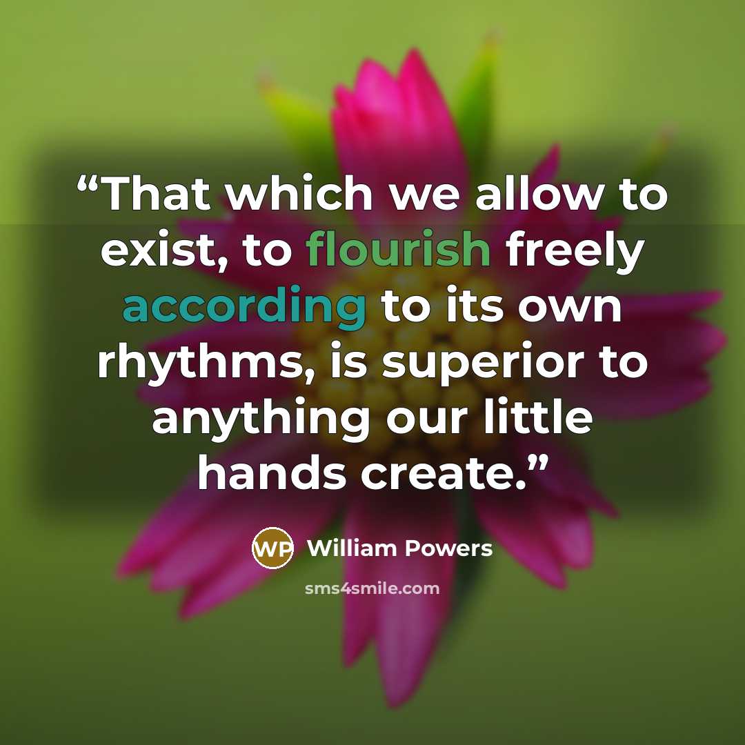 “That which we allow to exist, to flourish freely according to its own rhythms, is superior to anything our little hands create.” quote by William Powers
