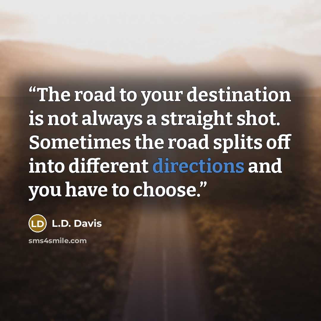 “The road to your destination is not always a straight shot. Sometimes the road splits off into different directions and you have to choose.” quote by L.D. Davis