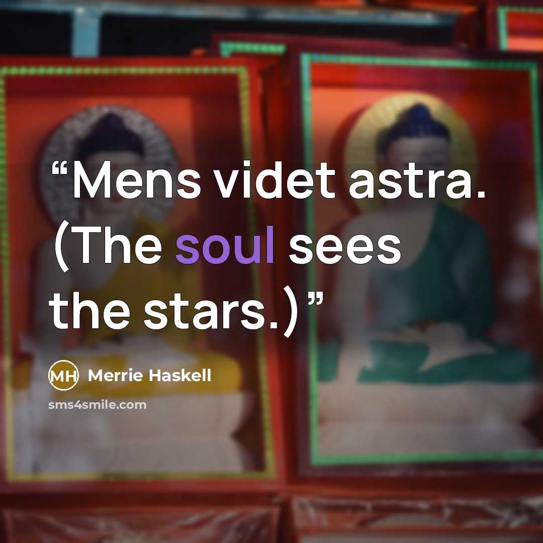 “Mens videt astra. (The soul sees the stars.)” quote by Merrie Haskell