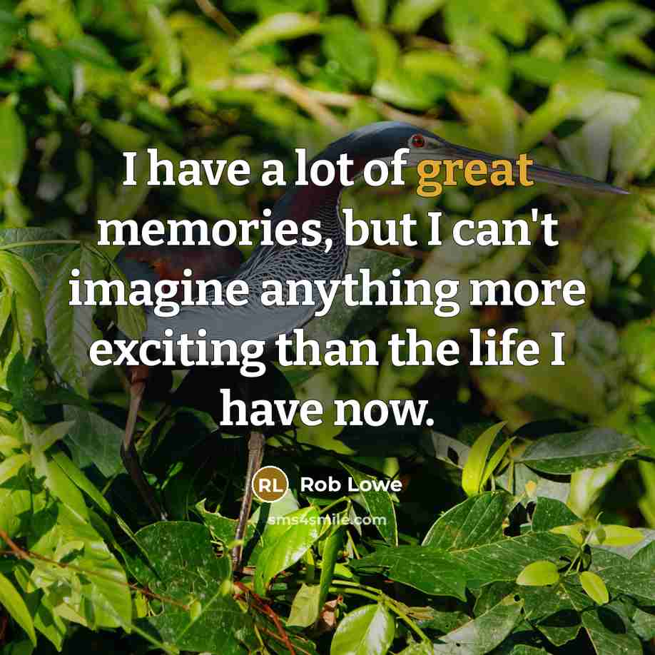 “I have a lot of great memories, but I can't imagine anything more exciting than the life I have now.” quote by Rob Lowe