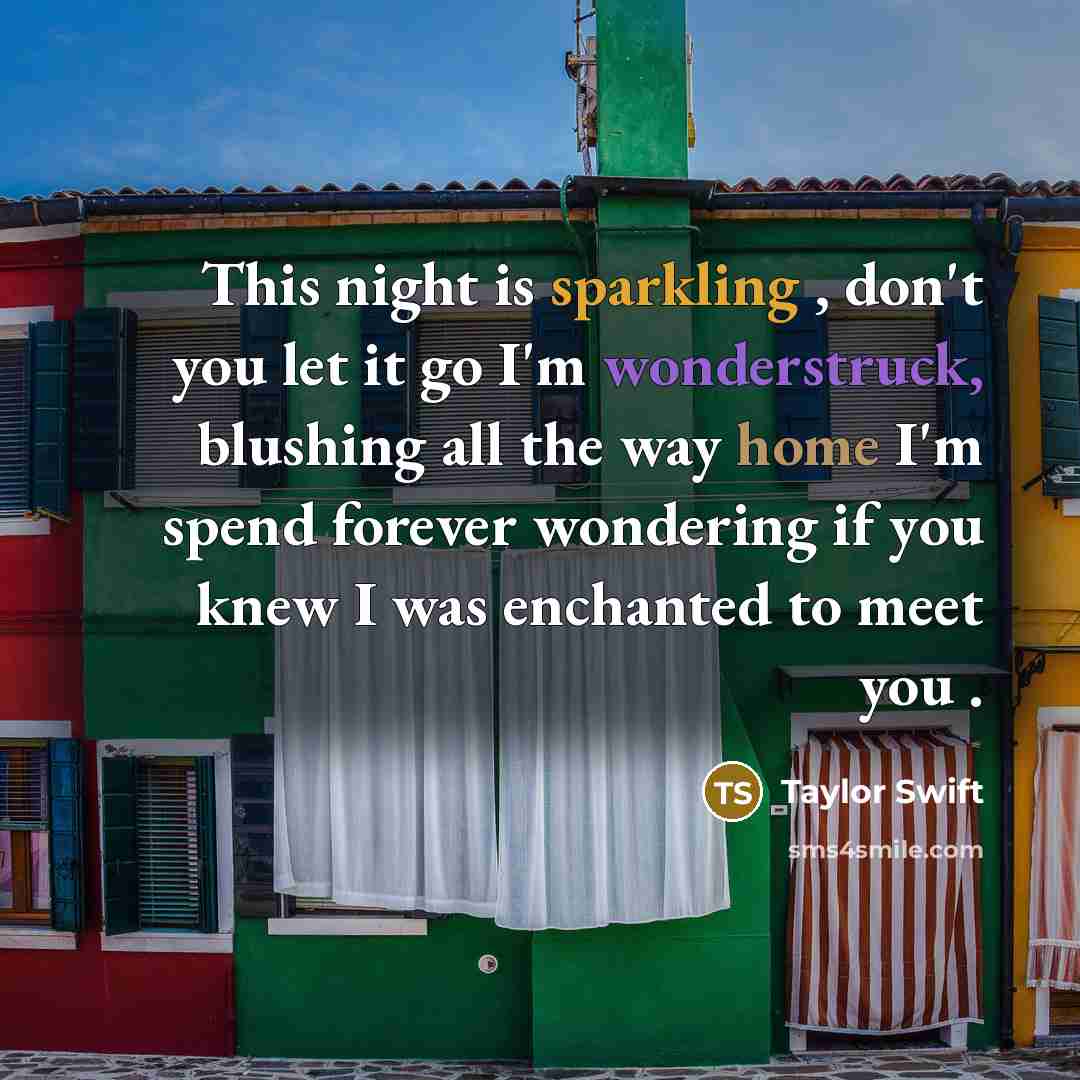 “This night is sparkling , don't you let it go I'm wonderstruck, blushing all the way home I'm spend forever wondering if you knew I was enchanted to meet you .” quote by Taylor Swift