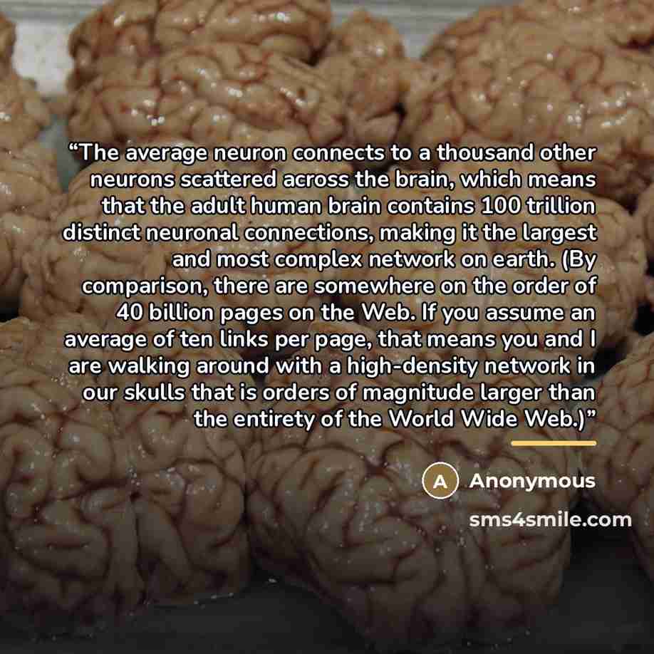 “The average neuron connects to a thousand other neurons scattered across the brain, which means that the adult human brain contains 100 trillion distinct neuronal connections, making it the largest and most complex network on earth. (By comparison, there are somewhere on the order of 40 billion…” quote by Anonymous