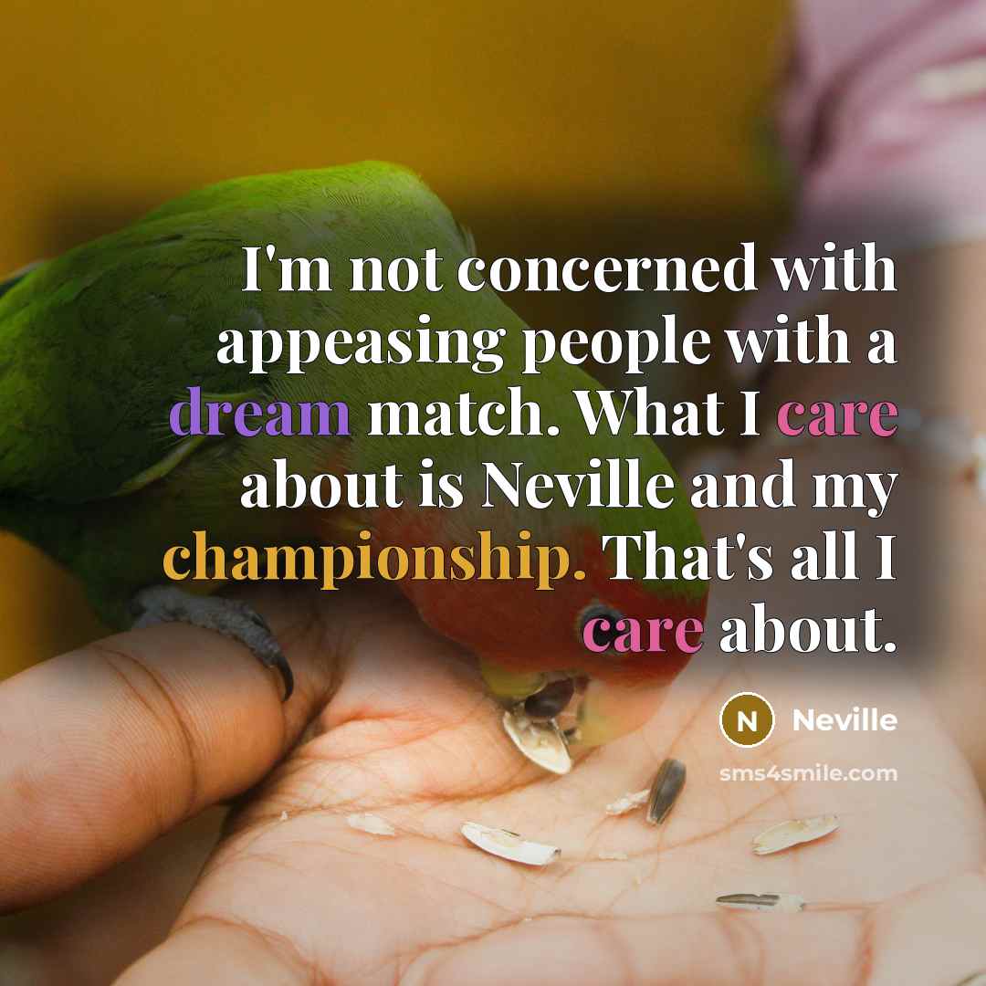 “I'm not concerned with appeasing people with a dream match. What I care about is Neville and my championship. That's all I care about.” quote by Neville
