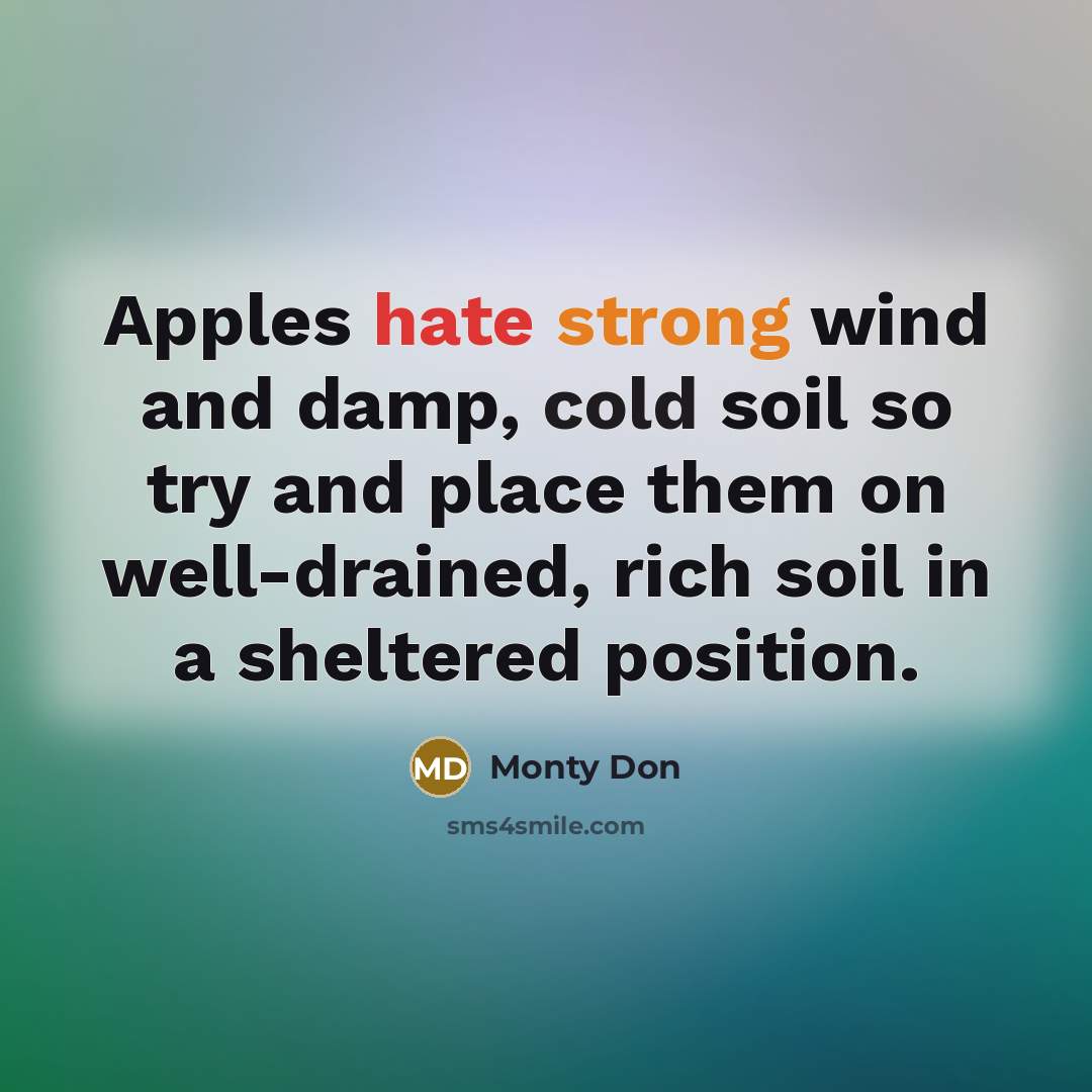 “Apples hate strong wind and damp, cold soil so try and place them on well-drained, rich soil in a sheltered position.” quote by Monty Don