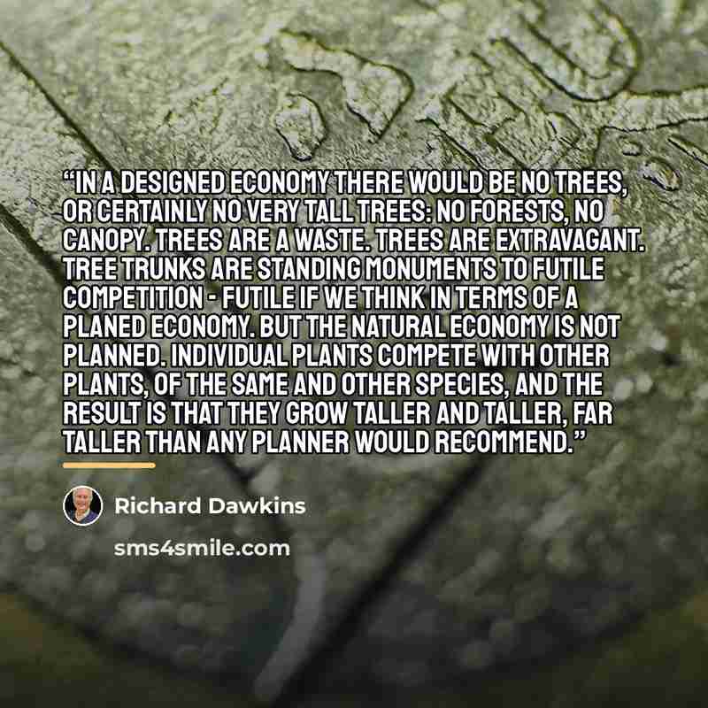 “In a designed economy there would be no trees, or certainly no very tall trees: no forests, no canopy. Trees are a waste. Trees are extravagant. Tree trunks are standing monuments to futile competition - futile if we think in terms of a planed economy. But the natural economy is not planned…” quote by Richard Dawkins
