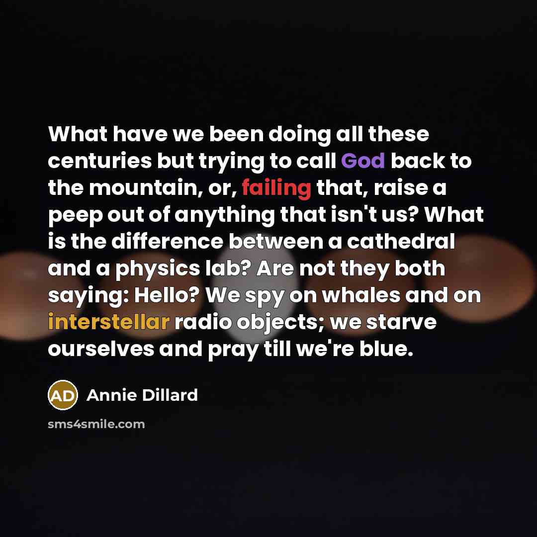 “What have we been doing all these centuries but trying to call God back to the mountain, or, failing that, raise a peep out of anything that isn't us? What is the difference between a cathedral and a physics lab? Are not they both saying: Hello? We spy on whales and on interstellar radio objects…” quote by Annie Dillard