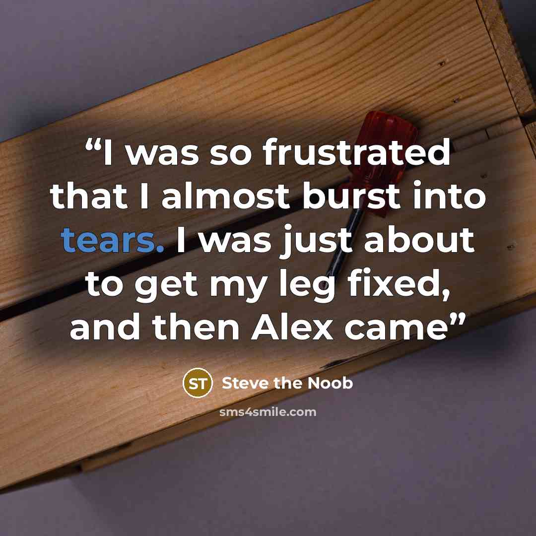 “I was so frustrated that I almost burst into tears. I was just about to get my leg fixed, and then Alex came” quote by Steve the Noob