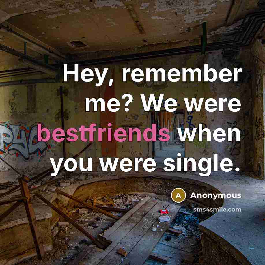 “Hey, remember me? We were bestfriends when you were single.” quote by Anonymous