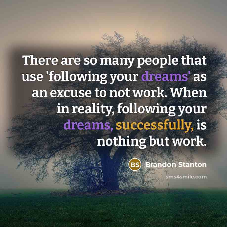 “There are so many people that use 'following your dreams' as an excuse to not work. When in reality, following your dreams, successfully, is nothing but work.” quote by Brandon Stanton