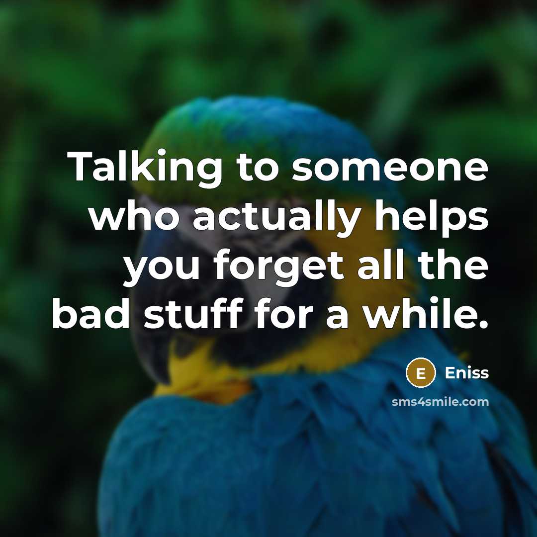 “Talking to someone who actually helps you forget all the bad stuff for a while.” quote by Eniss