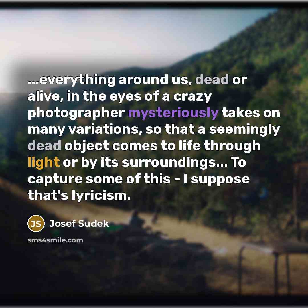 “...everything around us, dead or alive, in the eyes of a crazy photographer mysteriously takes on many variations, so that a seemingly dead object comes to life through light or by its surroundings... To capture some of this - I suppose that's lyricism.” quote by Josef Sudek