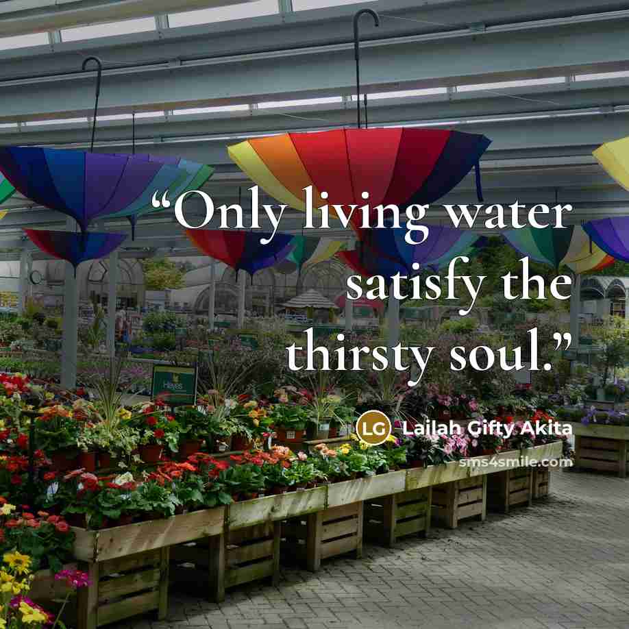 “Only living water satisfy the thirsty soul.” quote by Lailah Gifty Akita