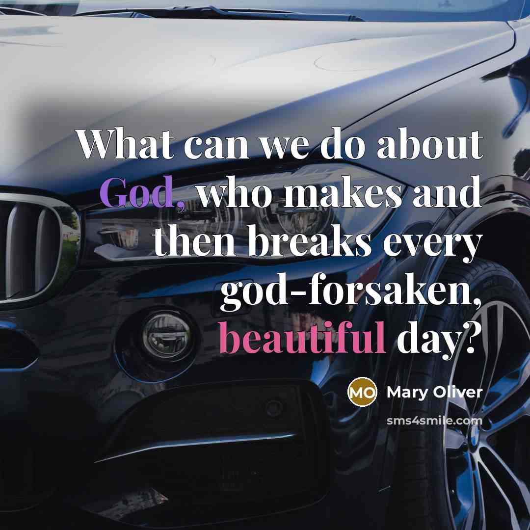 “What can we do about God, who makes and then breaks every god-forsaken, beautiful day?” quote by Mary Oliver