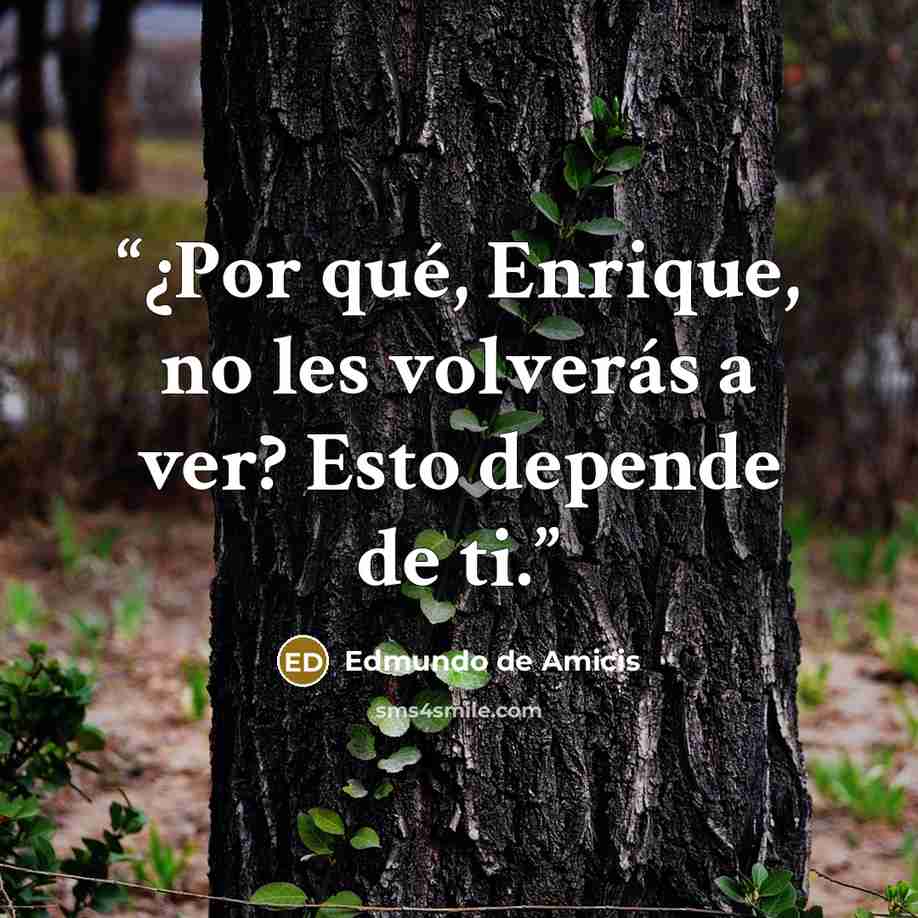 “¿Por qué, Enrique, no les volverás a ver? Esto depende de ti.” quote by Edmundo de Amicis