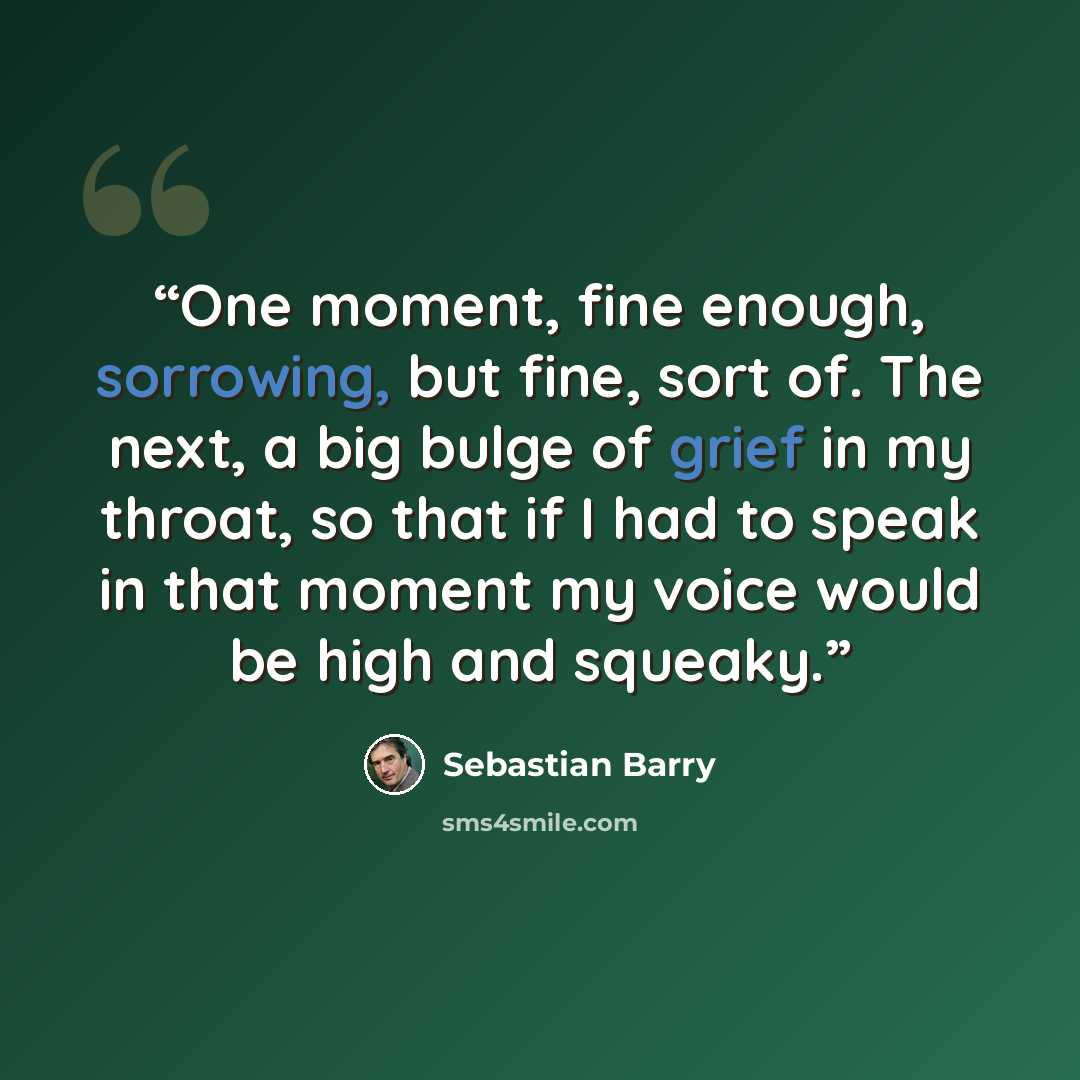 “One moment, fine enough, sorrowing, but fine, sort of. The next, a big bulge of grief in my throat, so that if I had to speak in that moment my voice would be high and squeaky.” quote by Sebastian Barry