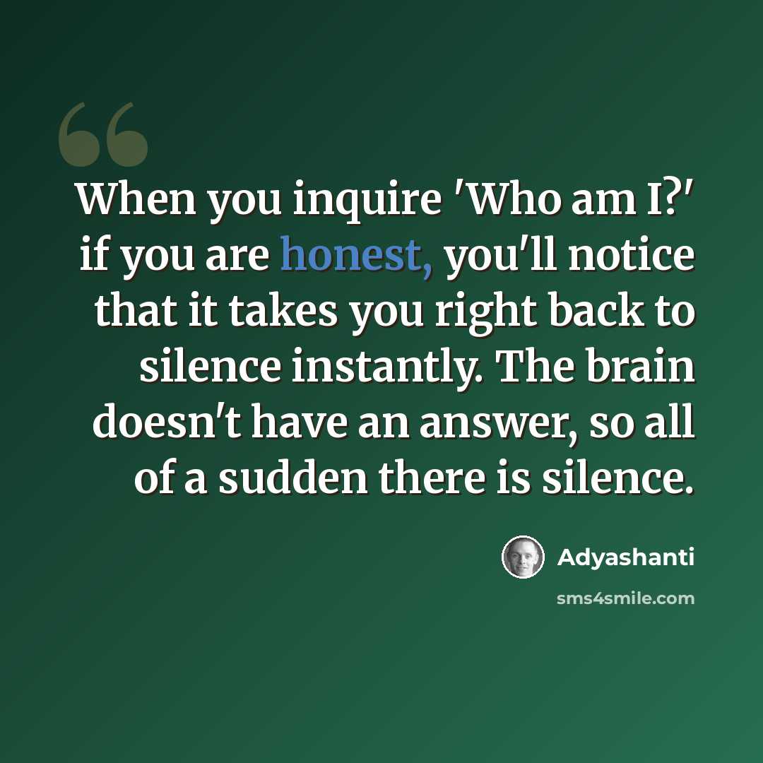 “When you inquire 'Who am I?' if you are honest, you'll notice that it takes you right back to silence instantly. The brain doesn't have an answer, so all of a sudden there is silence.” quote by Adyashanti