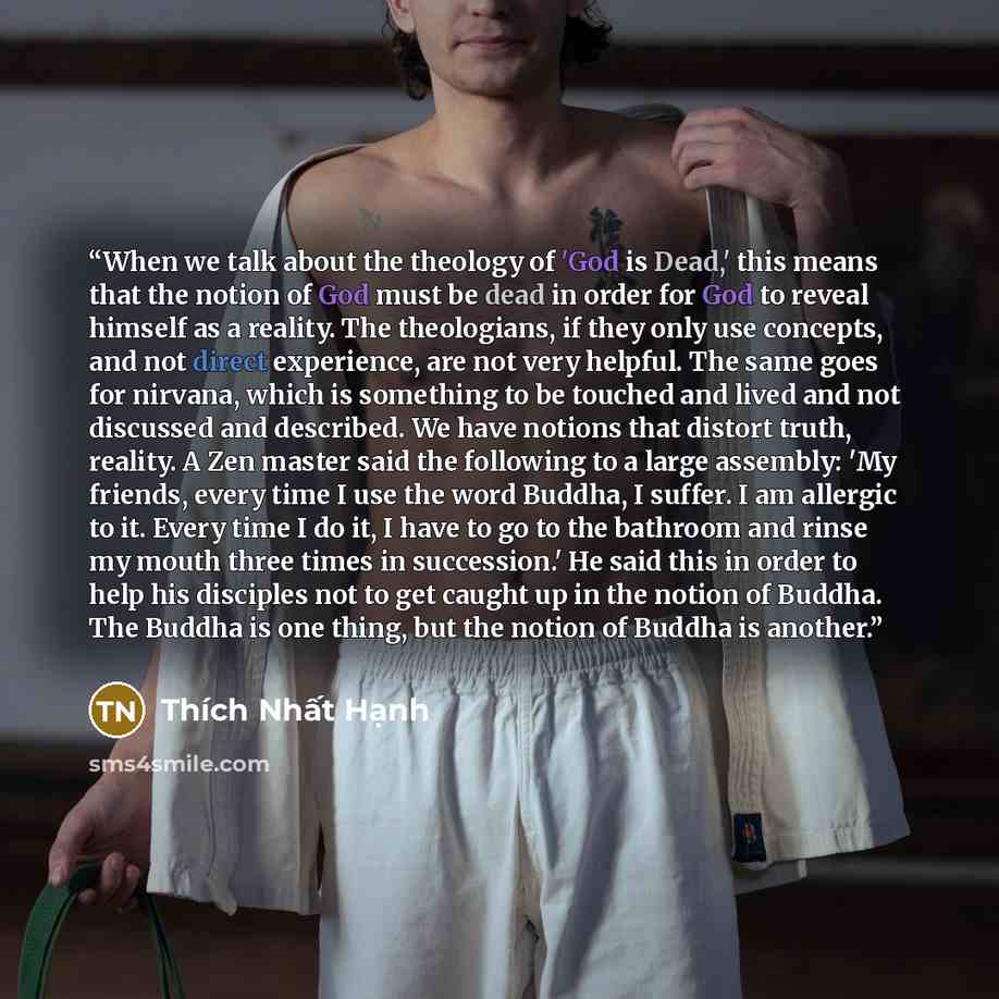 “When we talk about the theology of 'God is Dead,' this means that the notion of God must be dead in order for God to reveal himself as a reality. The theologians, if they only use concepts, and not direct experience, are not very helpful. The same goes for nirvana, which is something to be touched…” quote by Thích Nhất Hạnh
