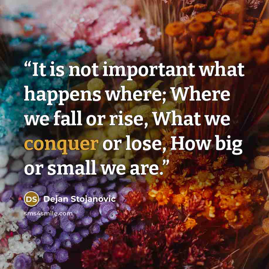 “It is not important what happens where; Where we fall or rise, What we conquer or lose, How big or small we are.” quote by Dejan Stojanovic