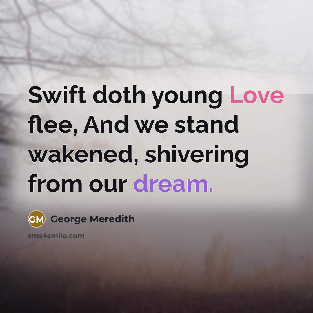 “Swift doth young Love flee, And we stand wakened, shivering from our dream.” quote by George Meredith