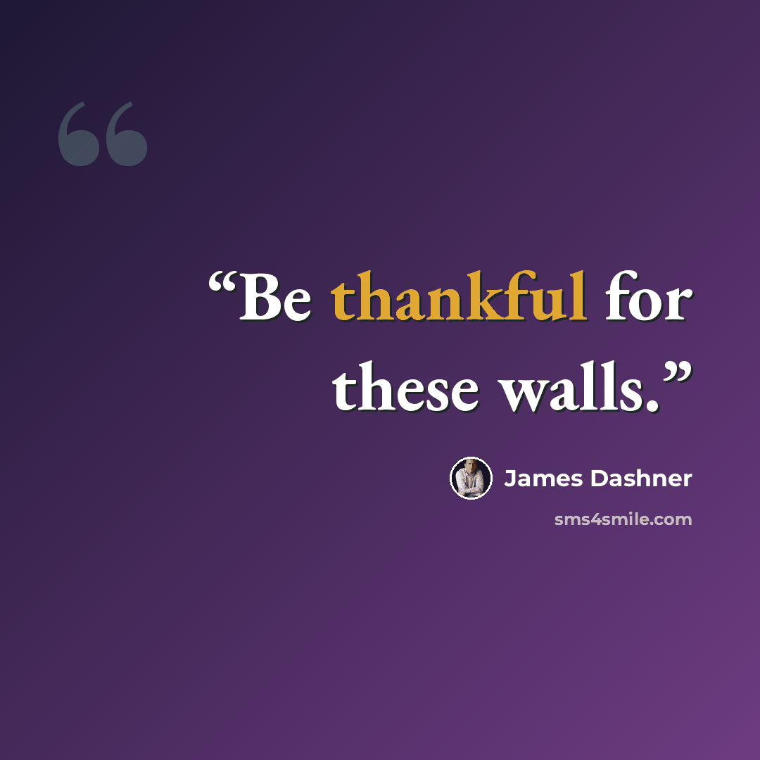 “Be thankful for these walls.” quote by James Dashner