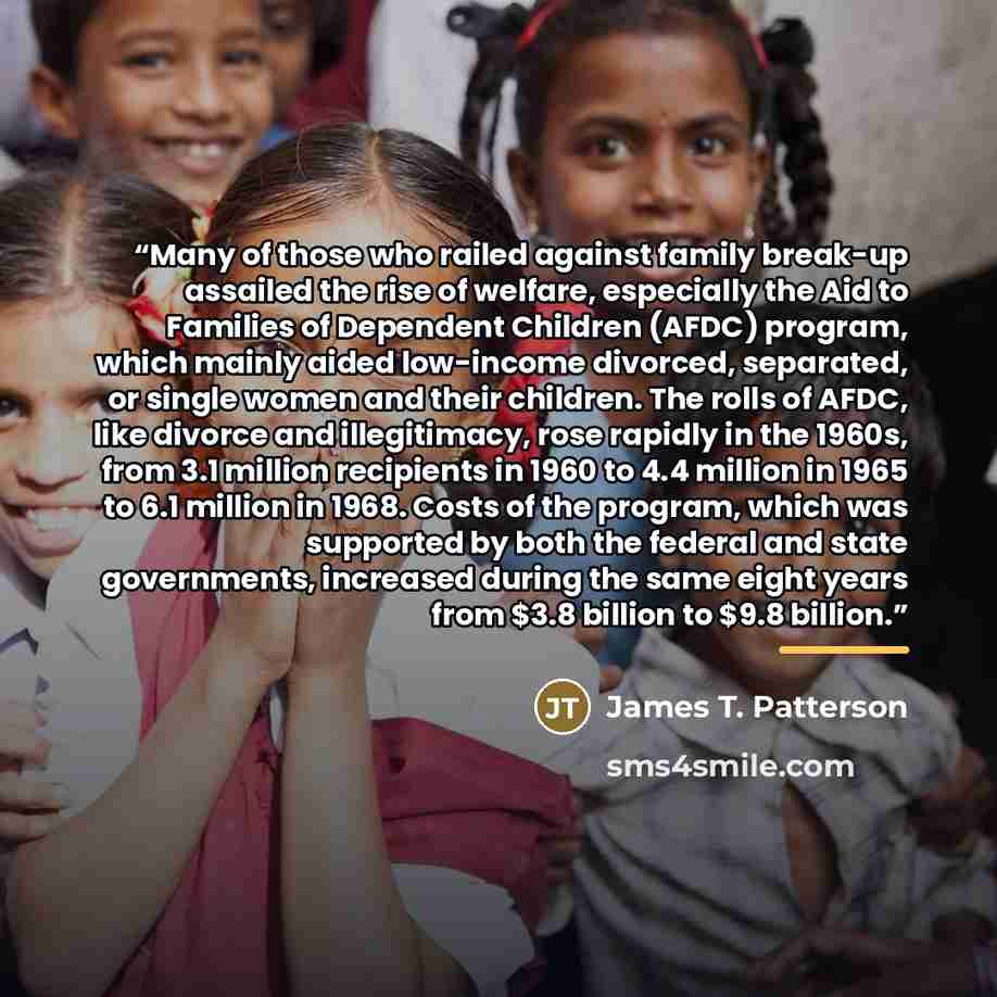 “Many of those who railed against family break-up assailed the rise of welfare, especially the Aid to Families of Dependent Children (AFDC) program, which mainly aided low-income divorced, separated, or single women and their children. The rolls of AFDC, like divorce and illegitimacy, rose rapidly…” quote by James T. Patterson