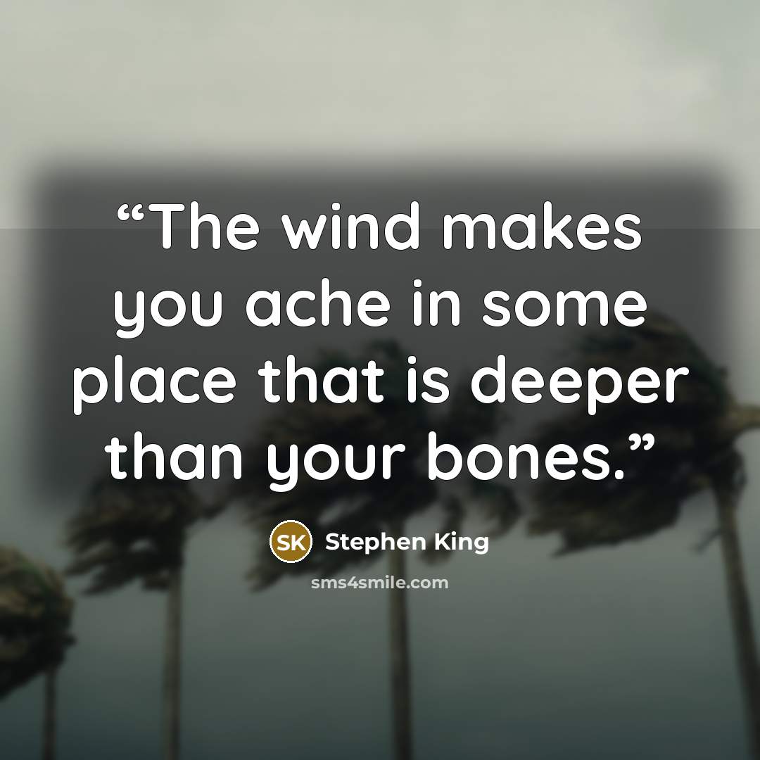 “The wind makes you ache in some place that is deeper than your bones.” quote by Stephen King