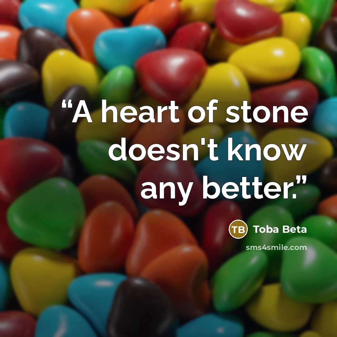“A heart of stone doesn't know any better.” quote by Toba Beta