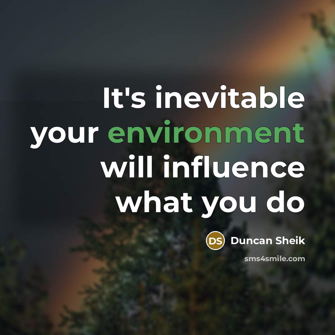 “It's inevitable your environment will influence what you do” quote by Duncan Sheik
