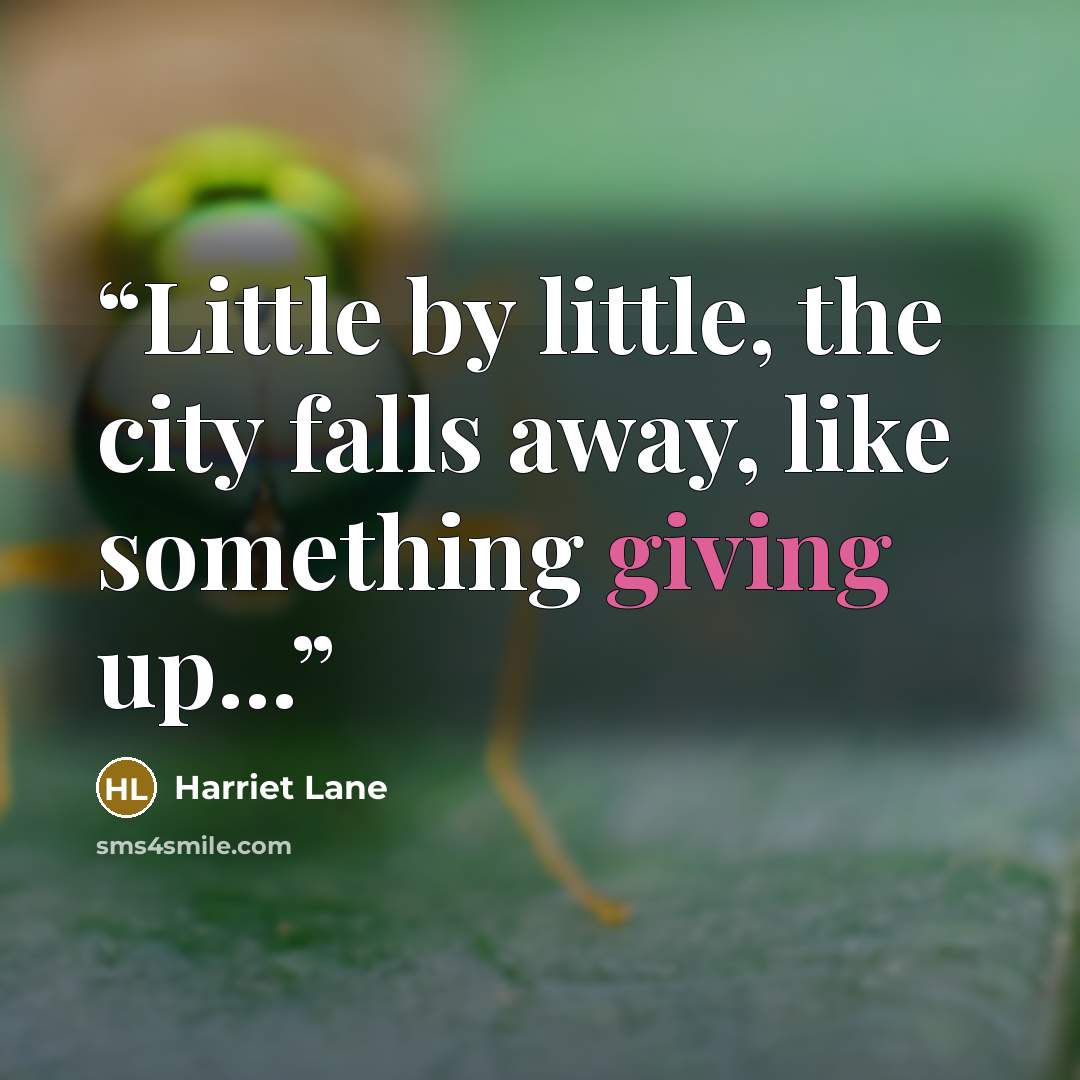 “Little by little, the city falls away, like something giving up...” quote by Harriet Lane