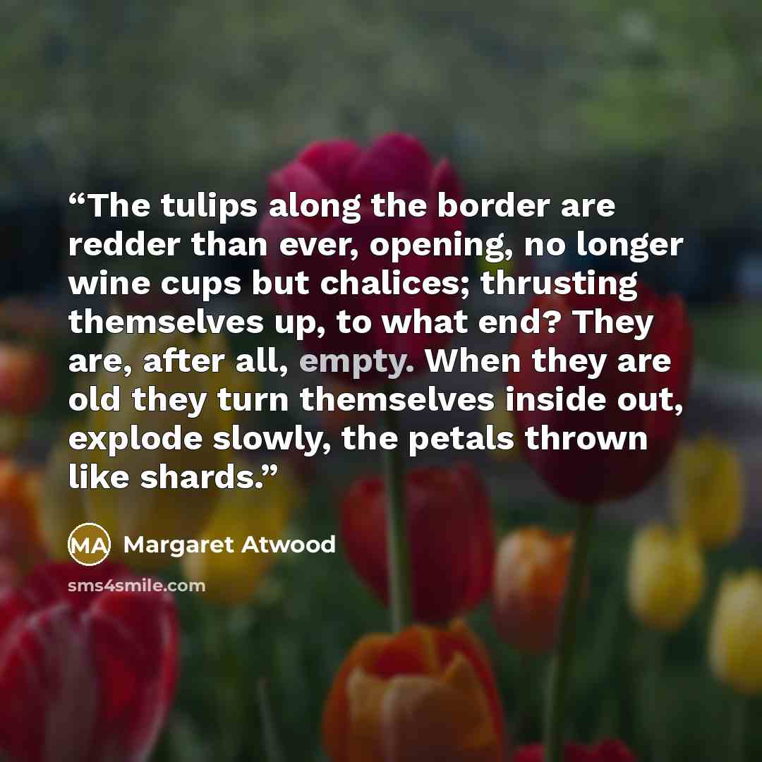 “The tulips along the border are redder than ever, opening, no longer wine cups but chalices; thrusting themselves up, to what end? They are, after all, empty. When they are old they turn themselves inside out, explode slowly, the petals thrown like shards.” quote by Margaret Atwood