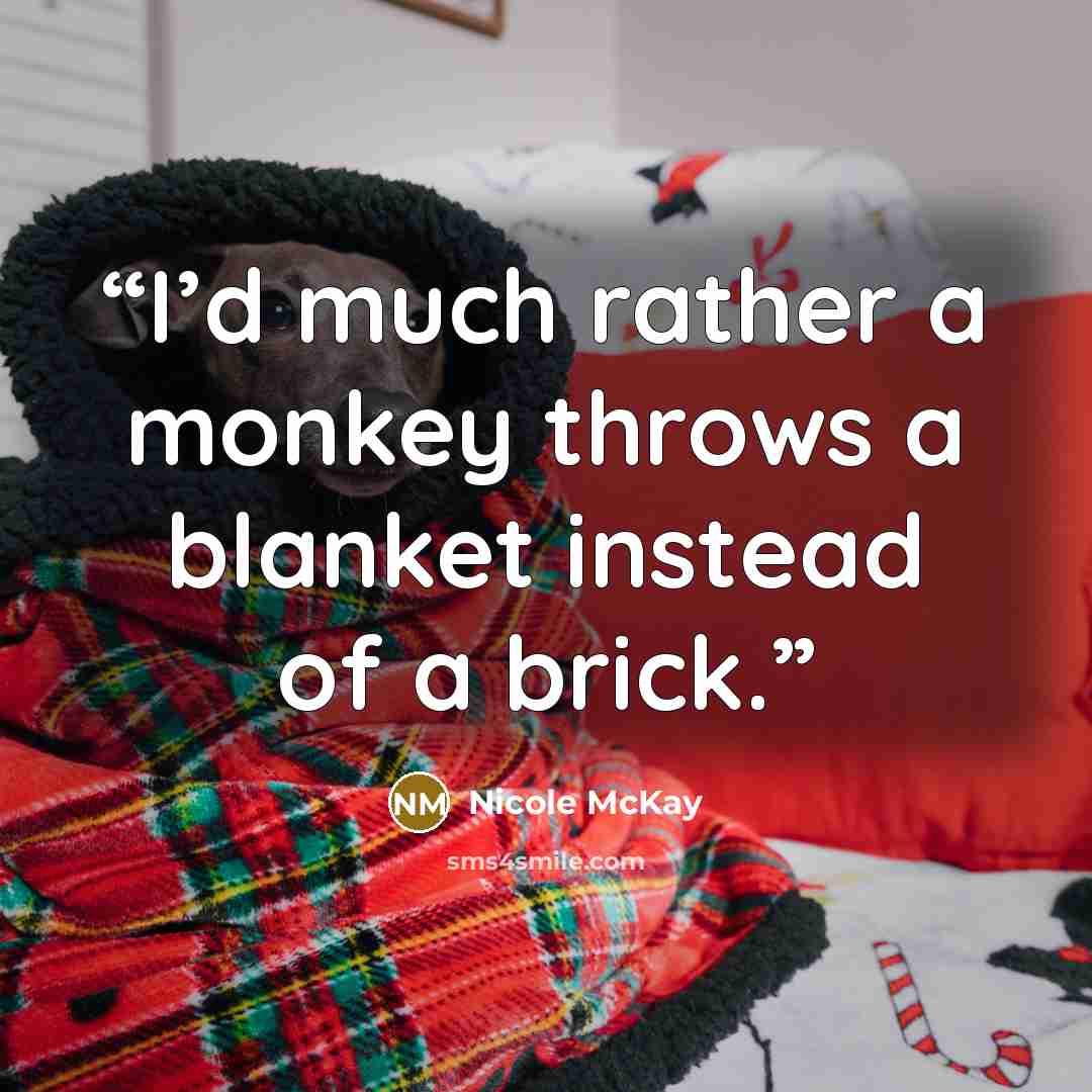 “I’d much rather a monkey throws a blanket instead of a brick.” quote by Nicole McKay