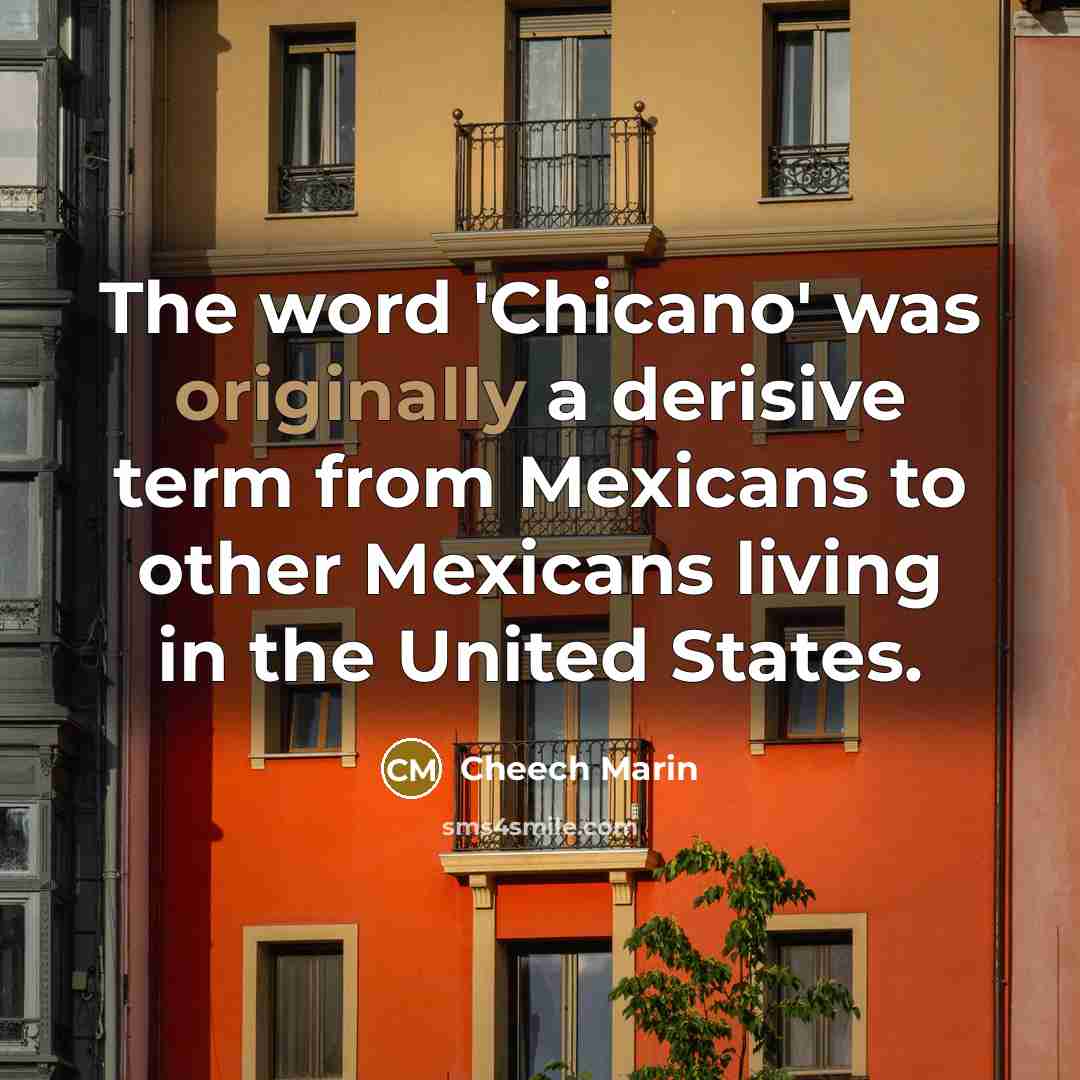“The word 'Chicano' was originally a derisive term from Mexicans to other Mexicans living in the United States.” quote by Cheech Marin