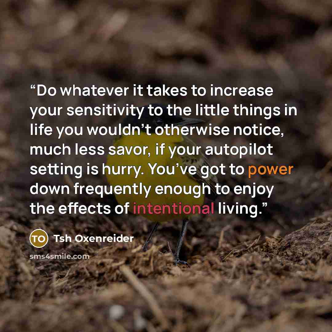 “Do whatever it takes to increase your sensitivity to the little things in life you wouldn’t otherwise notice, much less savor, if your autopilot setting is hurry. You’ve got to power down frequently enough to enjoy the effects of intentional living.” quote by Tsh Oxenreider