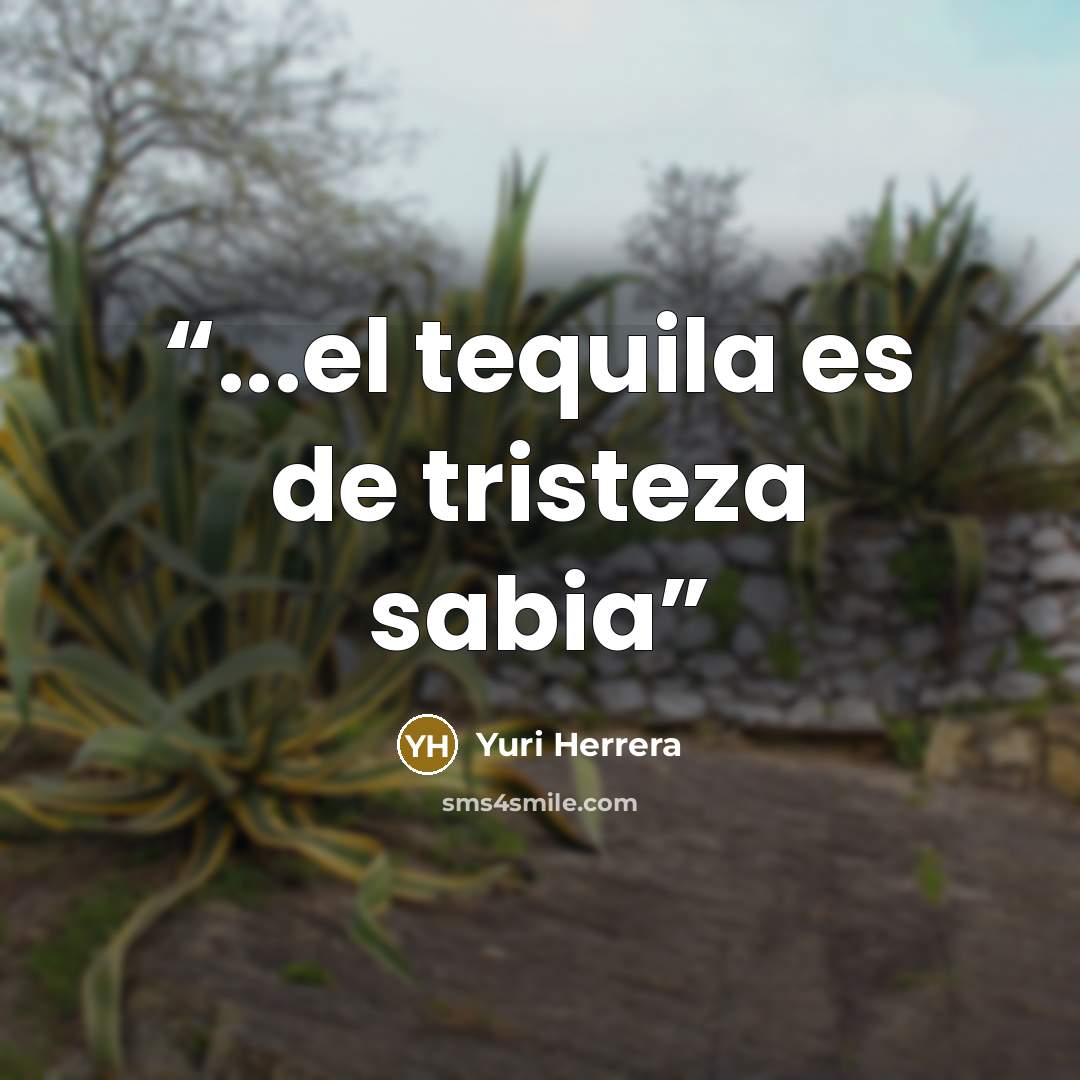 “...el tequila es de tristeza sabia” quote by Yuri Herrera