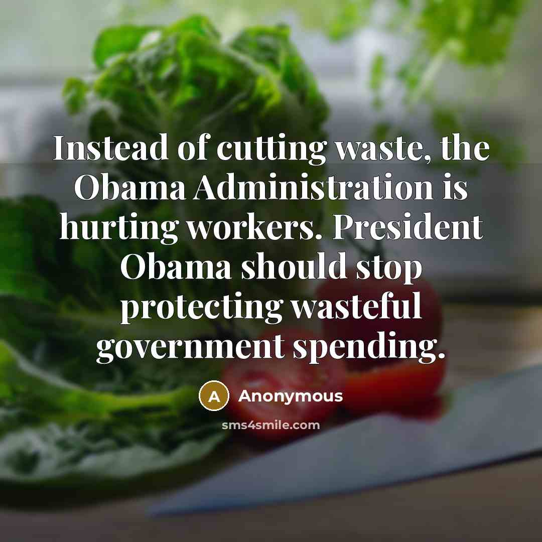 “Instead of cutting waste, the Obama Administration is hurting workers. President Obama should stop protecting wasteful government spending.” quote by Anonymous