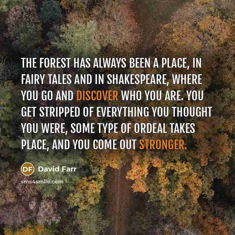 “The forest has always been a place, in fairy tales and in Shakespeare, where you go and discover who you are. You get stripped of everything you thought you were, some type of ordeal takes place, and you come out stronger.” quote by David Farr