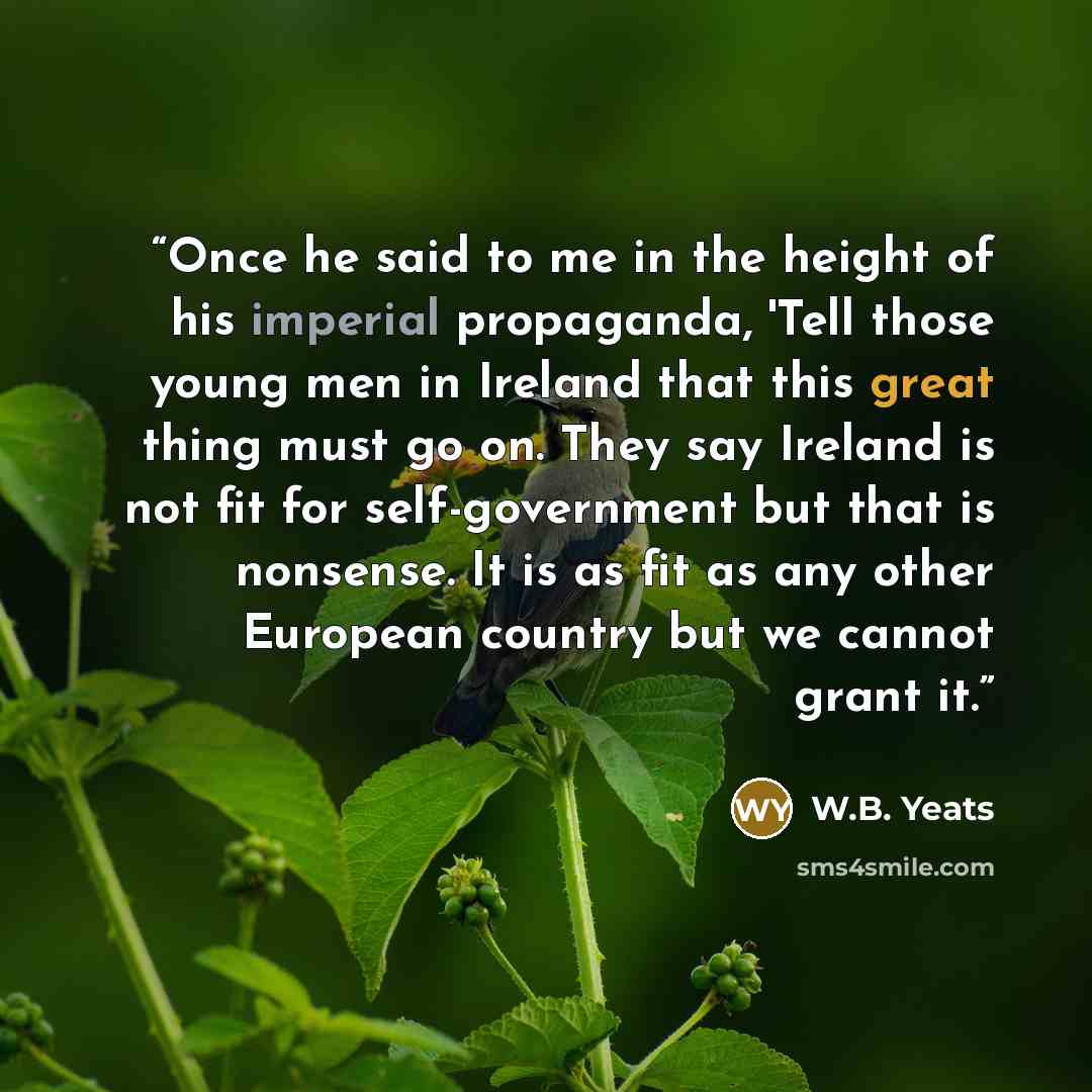 “Once he said to me in the height of his imperial propaganda, 'Tell those young men in Ireland that this great thing must go on. They say Ireland is not fit for self-government but that is nonsense. It is as fit as any other European country but we cannot grant it.” quote by W.B. Yeats
