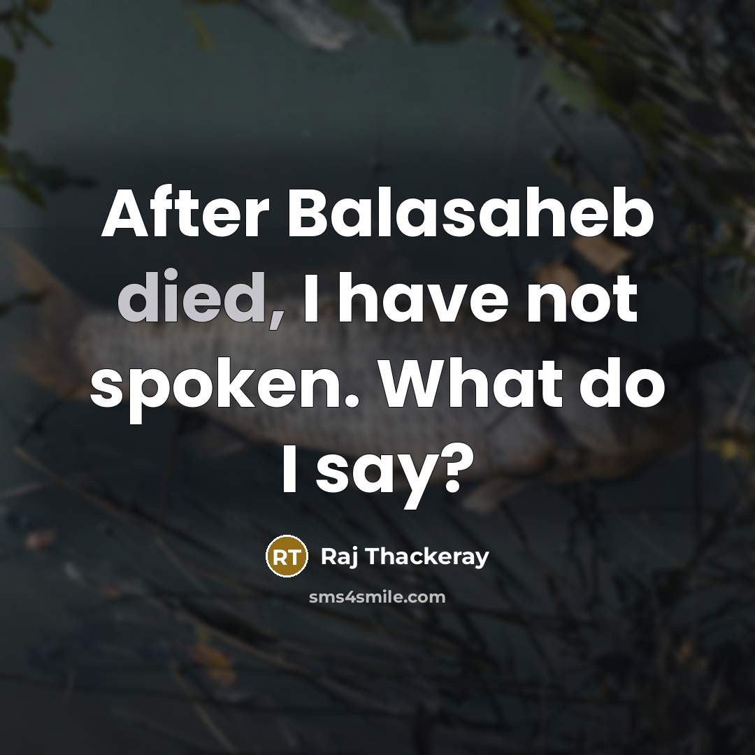 “After Balasaheb died, I have not spoken. What do I say?” quote by Raj Thackeray