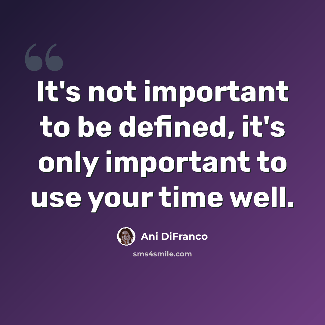 “It's not important to be defined, it's only important to use your time well.” quote by Ani DiFranco