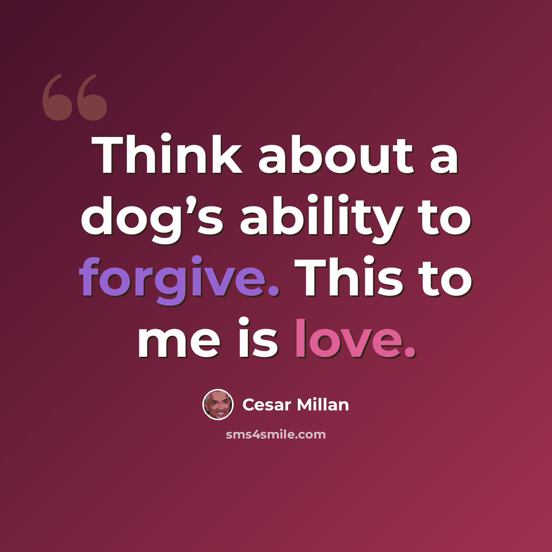 “Think about a dog’s ability to forgive. This to me is love.” quote by Cesar Millan