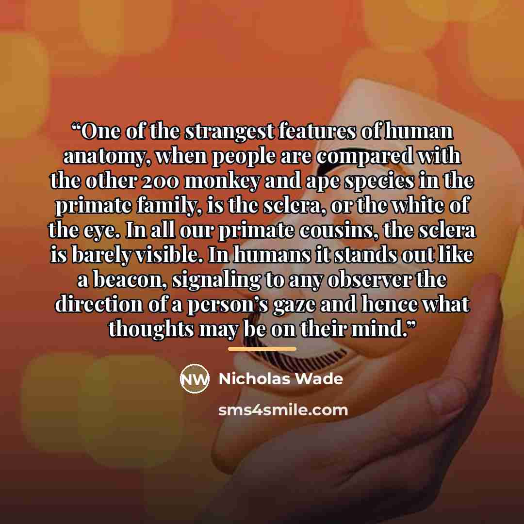 “One of the strangest features of human anatomy, when people are compared with the other 200 monkey and ape species in the primate family, is the sclera, or the white of the eye. In all our primate cousins, the sclera is barely visible. In humans it stands out like a beacon, signaling to any…” quote by Nicholas Wade