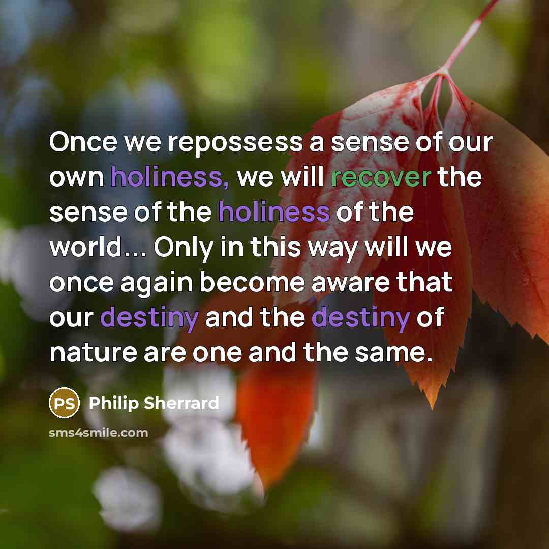 “Once we repossess a sense of our own holiness, we will recover the sense of the holiness of the world... Only in this way will we once again become aware that our destiny and the destiny of nature are one and the same.” quote by Philip Sherrard