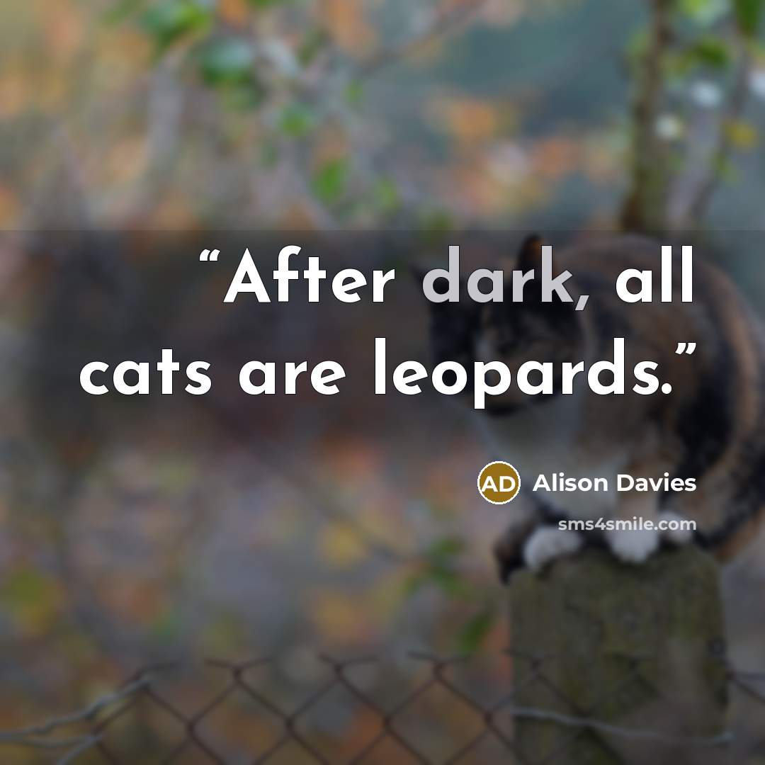 “After dark, all cats are leopards.” quote by Alison Davies