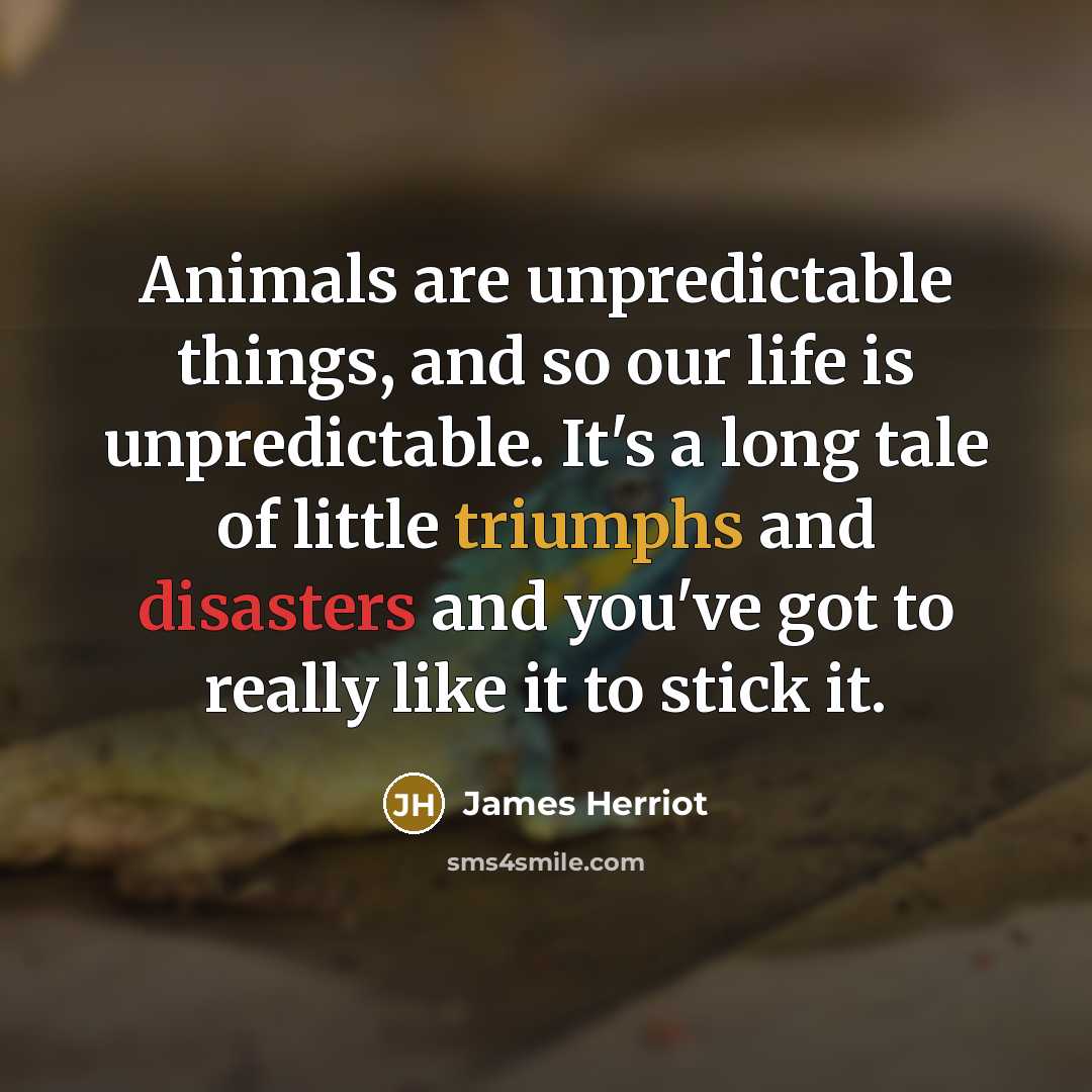 “Animals are unpredictable things, and so our life is unpredictable. It's a long tale of little triumphs and disasters and you've got to really like it to stick it.” quote by James Herriot
