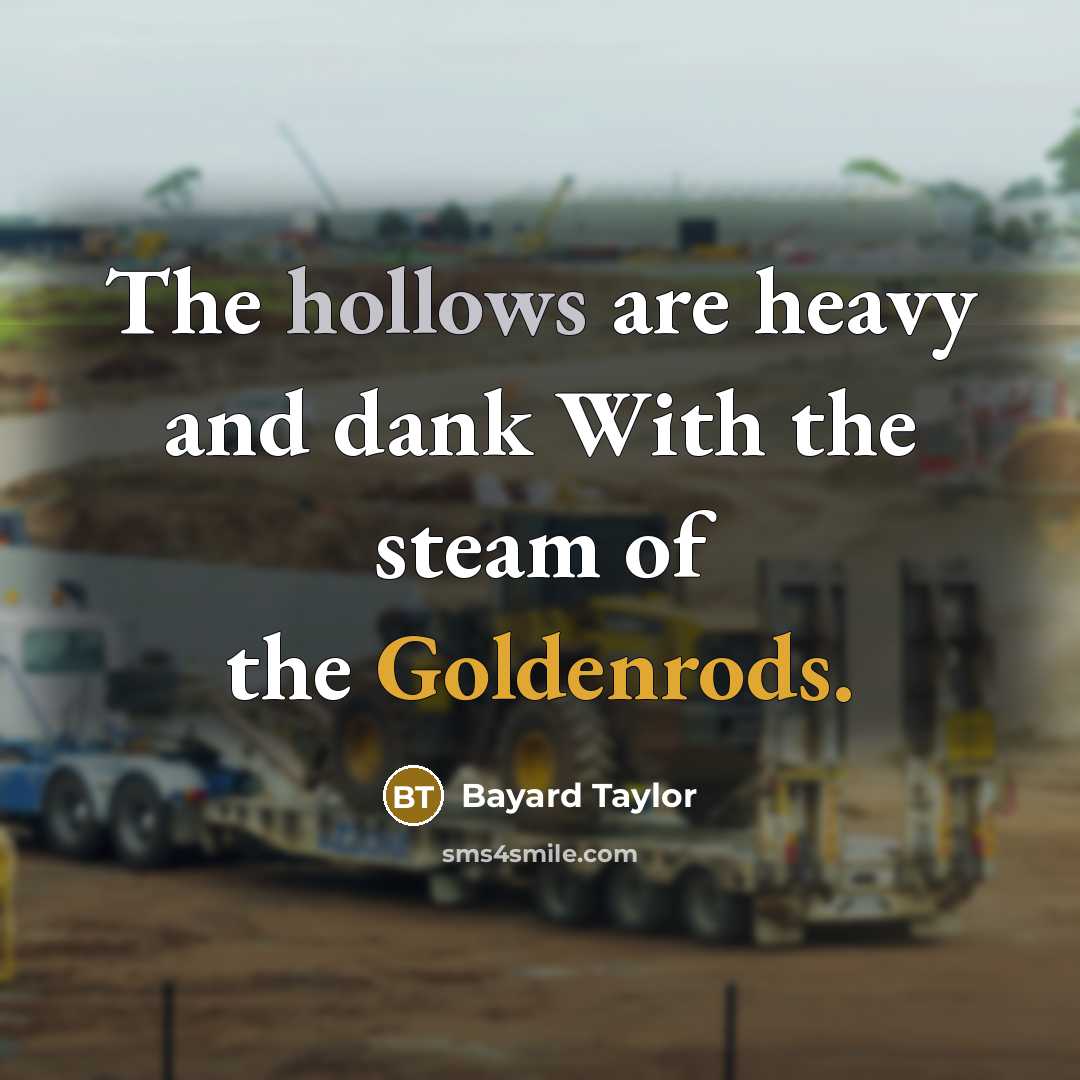 “The hollows are heavy and dank With the steam of the Goldenrods.” quote by Bayard Taylor