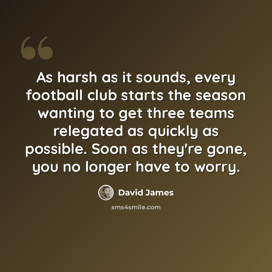 “As harsh as it sounds, every football club starts the season wanting to get three teams relegated as quickly as possible. Soon as they're gone, you no longer have to worry.” quote by David James