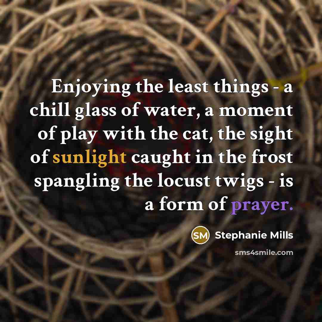“Enjoying the least things - a chill glass of water, a moment of play with the cat, the sight of sunlight caught in the frost spangling the locust twigs - is a form of prayer.” quote by Stephanie Mills